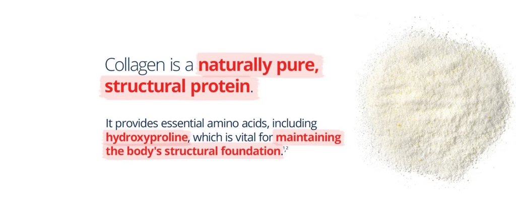 Metagenics BioPure Collagen Protein Neutral 400g Powder